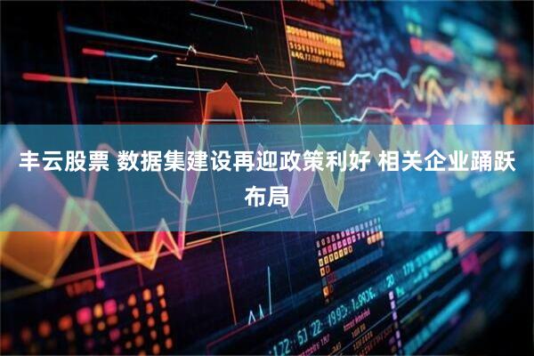 丰云股票 数据集建设再迎政策利好 相关企业踊跃布局