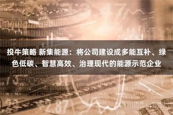 投牛策略 新集能源：将公司建设成多能互补、绿色低碳、智慧高效、治理现代的能源示范企业