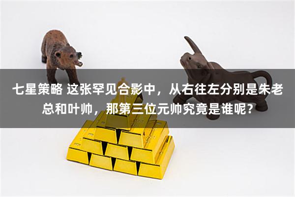 七星策略 这张罕见合影中，从右往左分别是朱老总和叶帅，那第三位元帅究竟是谁呢？