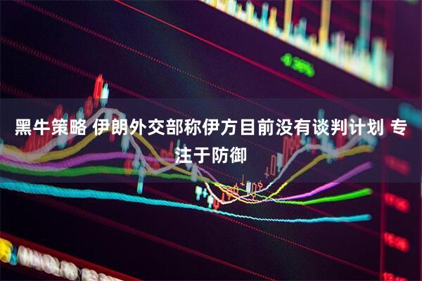黑牛策略 伊朗外交部称伊方目前没有谈判计划 专注于防御